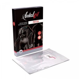 ANTALGIL PATCH 5PZ