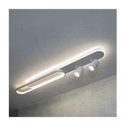 Trade Shop - Plafoniera Soffitto Led 50w 2 Faretti Spot Orientabili Luce 6500k 4000k 3000k Pn-22b -