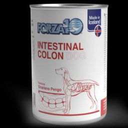 FORZA 10 DIET ACTIVE LINE DIET INTESTINAL COLON 390GR