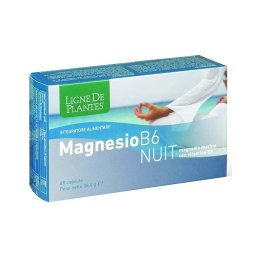 Magnesio B-6 Nuit 60 Capsule