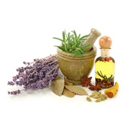 Cardo mariano in sommità per tisana 100g