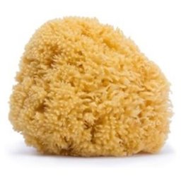 Spugna Naturale Suavinex Grande