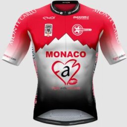 Ekoï MAGLIA PROTEAM FIGHT AIDS MONACO BY EKOI