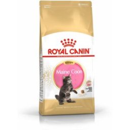 ROYAL CANIN Maine Coon Alimento completo per gattini fino a 15 mesi di età 400G