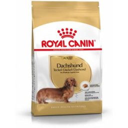 ROYAL CANIN Bassotto Adult Alimento Completo per Cani di Razza Adulti e Maturi Oltre 10 Mesi di Età 1.5KG