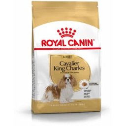 ROYAL CANIN Cavalier King Spaniel Adult Alimento Completo per Cani di Razza Adulti e Maturi Oltre 10 Mesi di Età 1.5KG