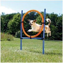 TRIXIE Gioco Anello Agility per Cane CM.115X3X65