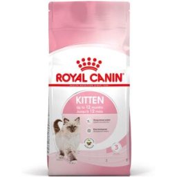 ROYAL CANIN Kitten Alimento completo per gattini fino a 12 mesi di età 10KG