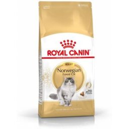ROYAL CANIN Gatto Norvegese delle Foreste 2KG
