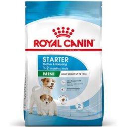 ROYAL CANIN Mini Starter M&B Alimento completo per cagne di taglia piccola fino a 10 kg ed cuccioli in svezzamento fino a 2 mesi di età 1KG