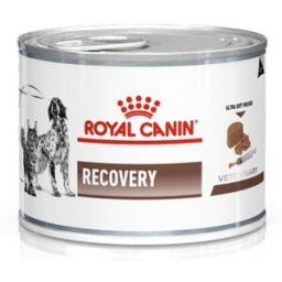 ROYAL CANIN V-Diet Recovery Cane e Gatto 195G
