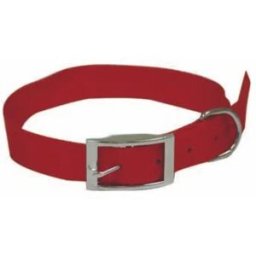 CROCI Collare Nylon Rosso S