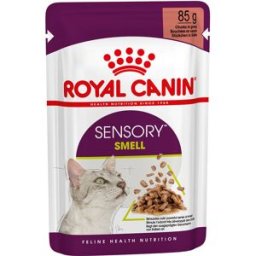 ROYAL CANIN Cat Sensory Smell in Salsa Busta Multipack 48x85G CARNI E DERIVATI
