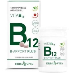 Erba Vita B-Apport Plus Integratore Vitamina B 24 g