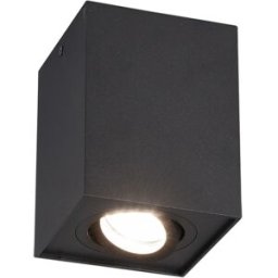 Trio Lighting Plafoniera nera Biscuit Trio