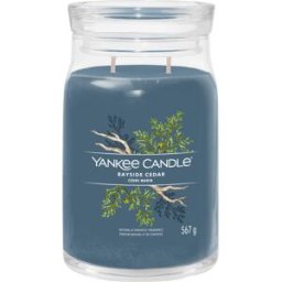 Yankee Candle Bayside Cedar, candela in giara grande