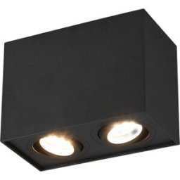 Trio Lighting Plafoniera nera 2 luci Biscuit Trio
