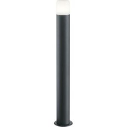 Trio Lighting Palo luminoso piantana 80 cm Hoosic Trio