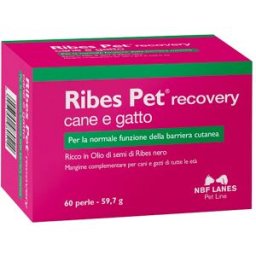 NBF LANES VET Ribes Pet Recovery 60 Perle - Integratore Dermatite Cani e Gatti