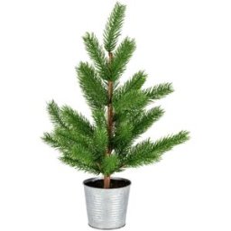 Abete Albona; 25x55 cm (ØxH); verde/marrone