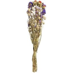 Fiori secchi decorativi Mai; 60 cm (L); lilla/rosa/giallo/verde