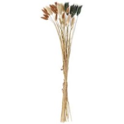 Mazzo di fiori secchi Finjas; 60 cm (L); marrone/naturale/verde oliva