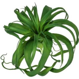 Pianta artificiale pensile Kinza; 23 cm (H); verde