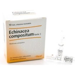 GUNA SpA Guna Heel Echinacea Compositum S Forte Rimedio Difese Immunitarie 10 Fiale - Rimedio Omeopatico