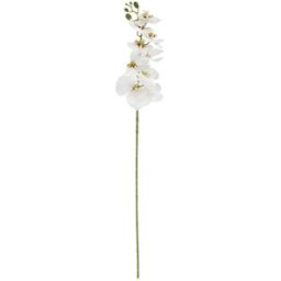 Vega Ramo di orchidea Macey ; 83 cm (L); bianco/verde