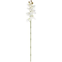 Vega Ramo di orchidea Mabou ; 95 cm (L); bianco/verde
