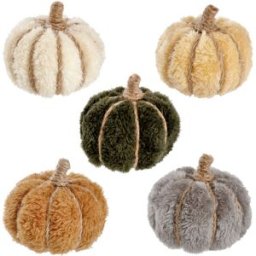 Zucche decorative in set Allan; 10x9 cm (ØxH); beige/giallo/terracotta/grigio/verde scuro