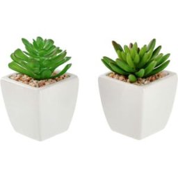 Set di piante artificiali Afra; 5.5x11.5 cm (ØxH); bianco/verde