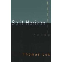 Split Horizon