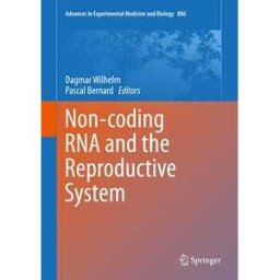 Non-coding RNA and the Reproductive System