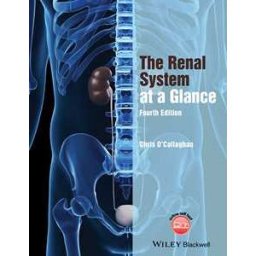 The Renal System at a Glance