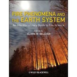 Fire Phenomena and the Earth System