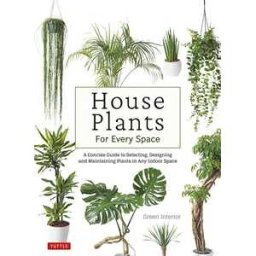 House Plants for Every Space