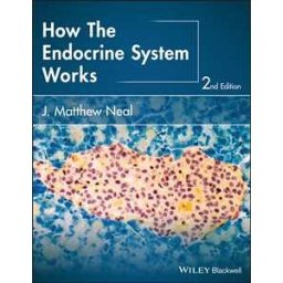 How the Endocrine System Works