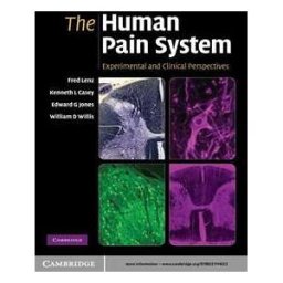 The Human Pain System