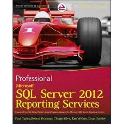 Professional Microsoft SQL Server 2012 Reporting Services