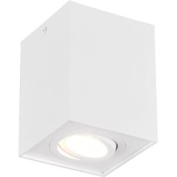 Trio Lighting Plafoniera bianca Biscuit Trio