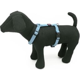 PET AROUND YOU Pettorina Reflective Nylon Celeste L