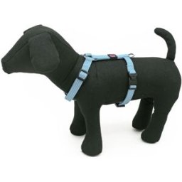 PET AROUND YOU Pettorina Reflective Nylon Celeste XS