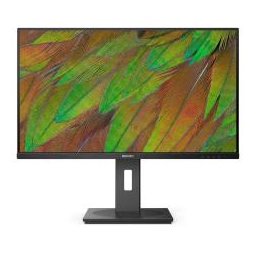 PHILIPS 31,5 MONITOR VA 3840X2160 REG ALT