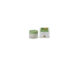 Crema Viso Antirughe Arancia Erba Medica Ridensificante 50 ml