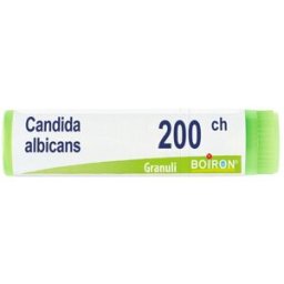 Candida Albicans 200Ch Gl 4 g Globuli