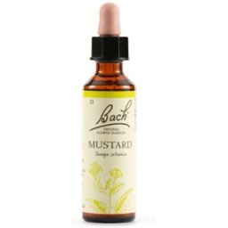 Schwabe Pharma Italia Schwabe Pharma Fiori di Bach Mustard 20 ml Gocce orali