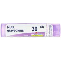 Ruta Grav BOI Ruta Graveolens*30Ch 80Gr 4G 4 g Granuli