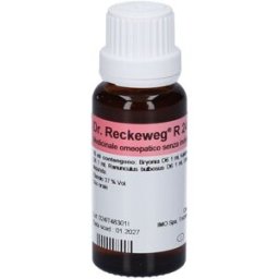 Dr. Reckeweg Reckeweg R24 Gocce 22Ml 22 ml orali