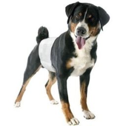 Camon Pannolini a Fascia Elastica per Cani Maschi TAGLIA S 12 pz